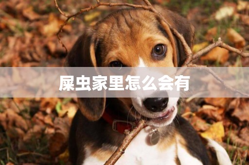 屎蟲家里怎么會有