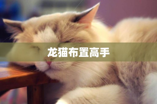 龍貓布置高手
