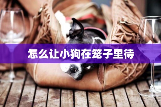 怎么讓小狗在籠子里待
