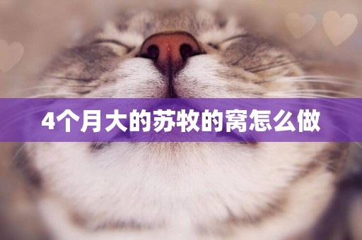 4個月大的蘇牧的窩怎么做