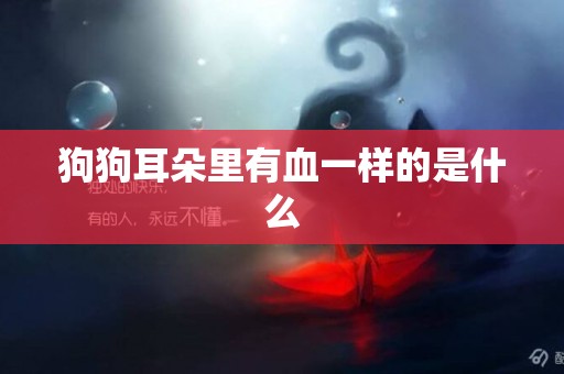 狗狗耳朵里有血一樣的是什么