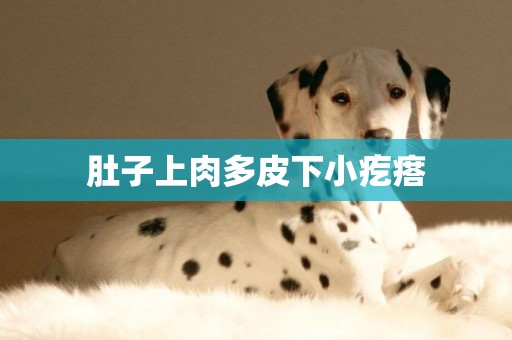 肚子上肉多皮下小疙瘩