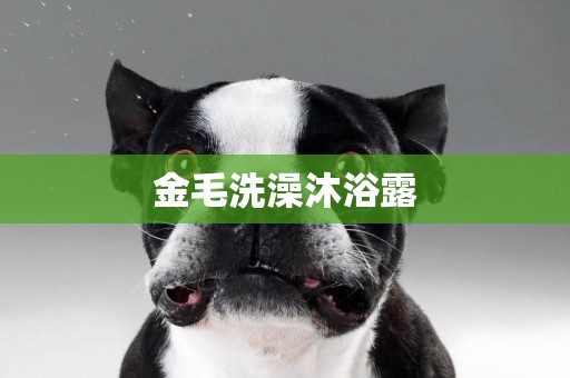 金毛洗澡沐浴露