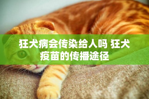 狂犬病會傳染給人嗎 狂犬疫苗的傳播途徑