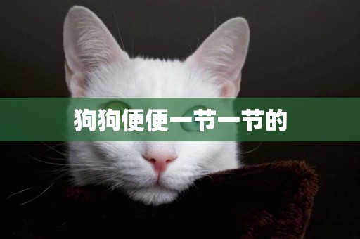 狗狗便便一節一節的