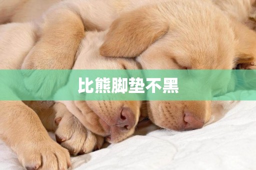 比熊腳墊不黑