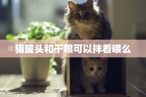 貓罐頭和干糧可以拌著喂么