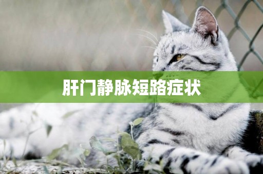 肝門靜脈短路癥狀