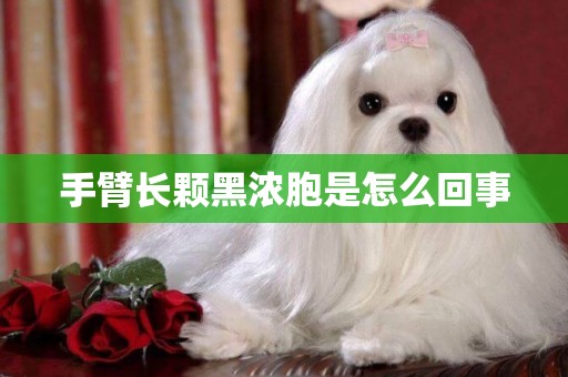 手臂長顆黑濃胞是怎么回事