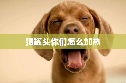貓罐頭你們怎么加熱