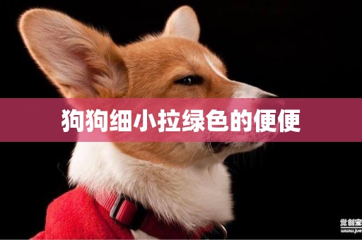 狗狗細小拉綠色的便便