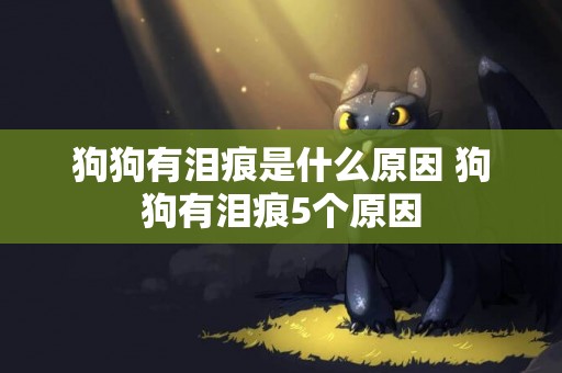 狗狗有淚痕是什么原因 狗狗有淚痕5個原因