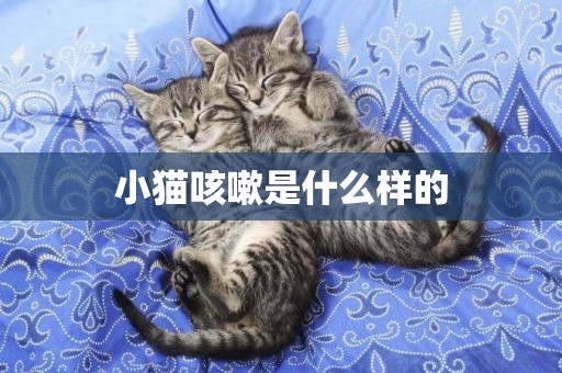 小貓咳嗽是什么樣的