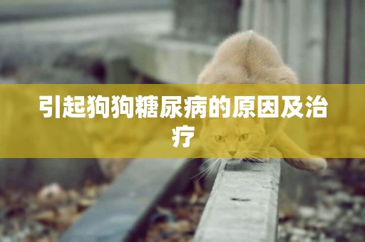 引起狗狗糖尿病的原因及治療