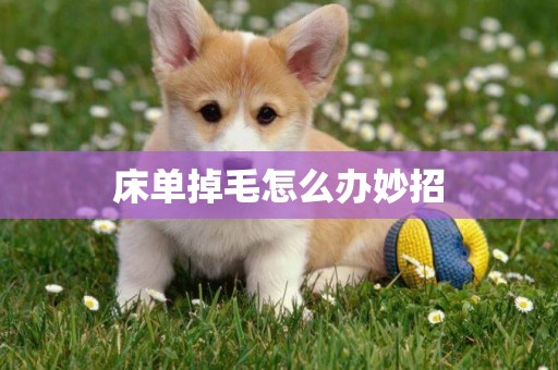 床單掉毛怎么辦妙招