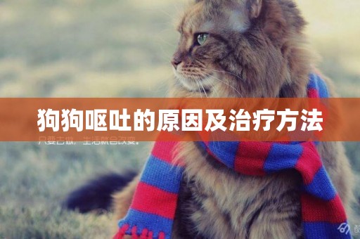 狗狗嘔吐的原因及治療方法