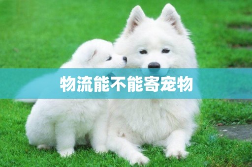 物流能不能寄寵物