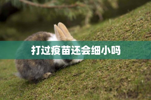 打過疫苗還會細小嗎
