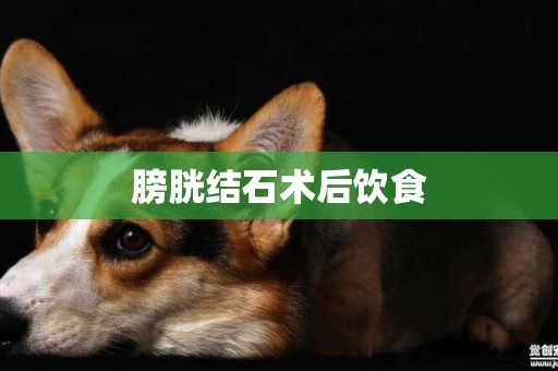 膀胱結石術后飲食
