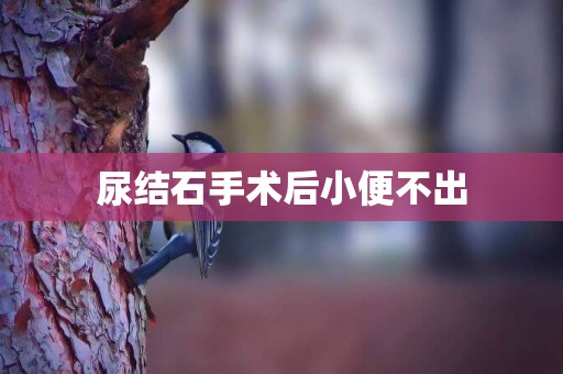 尿結石手術后小便不出