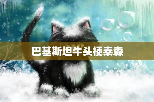 巴基斯坦牛頭梗泰森