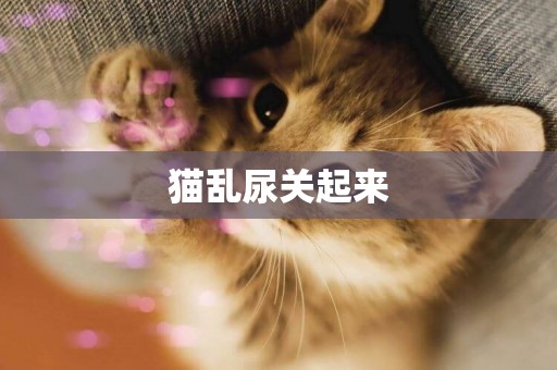 貓亂尿關起來