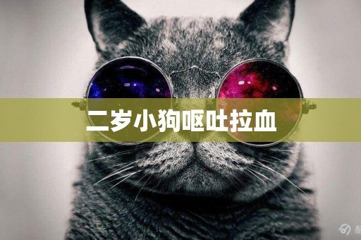 二歲小狗嘔吐拉血