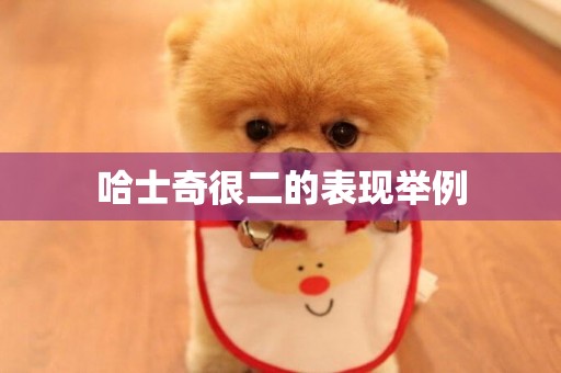 哈士奇很二的表現舉例