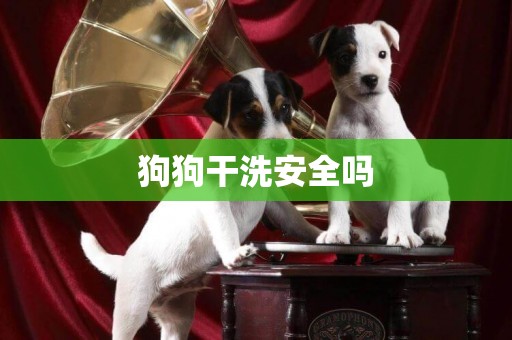 狗狗干洗安全嗎