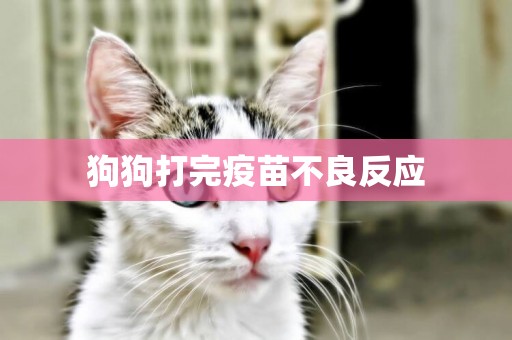 狗狗打完疫苗不良反應