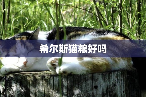 希爾斯貓糧好嗎