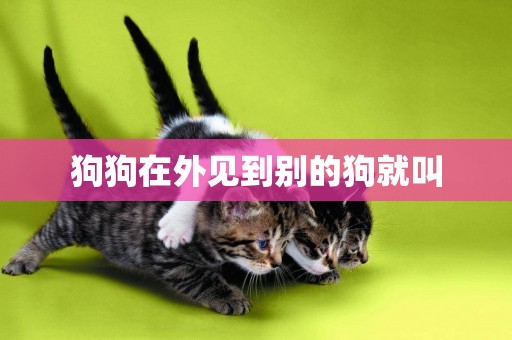 狗狗在外見到別的狗就叫
