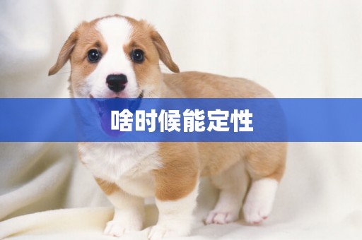 啥時候能定性