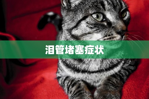 淚管堵塞癥狀