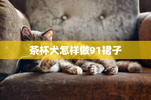 茶杯犬怎樣做91裙子
