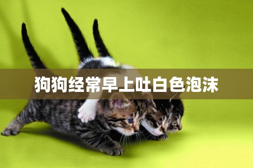 狗狗經常早上吐白色泡沫