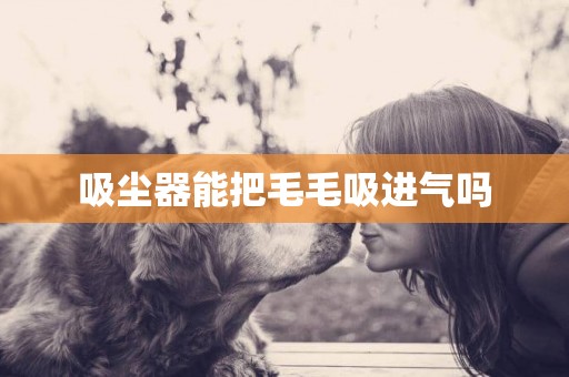 吸塵器能把毛毛吸進氣嗎