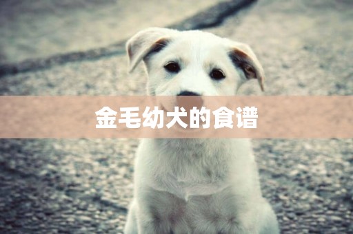 金毛幼犬的食譜