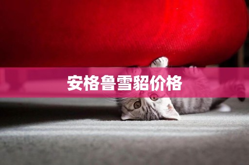 安格魯雪貂價格