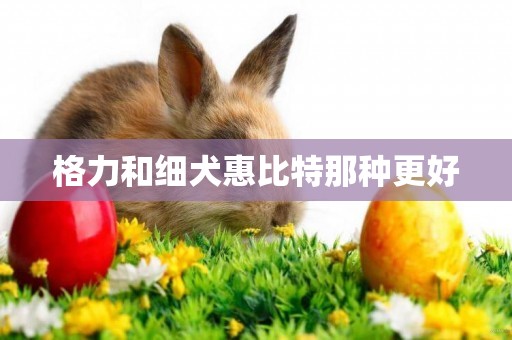 格力和細犬惠比特那種更好