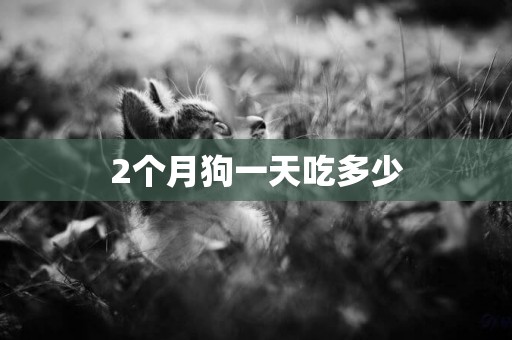 2個月狗一天吃多少