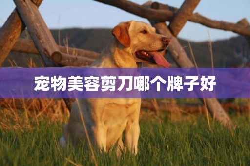 寵物美容剪刀哪個牌子好