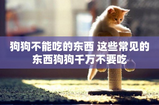 狗狗不能吃的東西 這些常見的東西狗狗千萬不要吃 狗狗不能吃的東西 這些常見的東西狗狗千萬不要吃