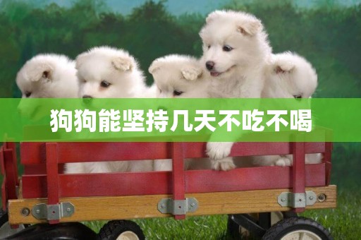 狗狗能堅持幾天不吃不喝