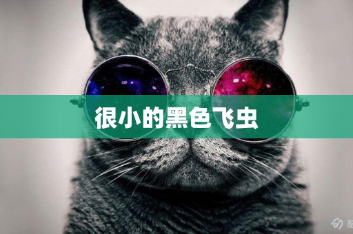 很小的黑色飛蟲