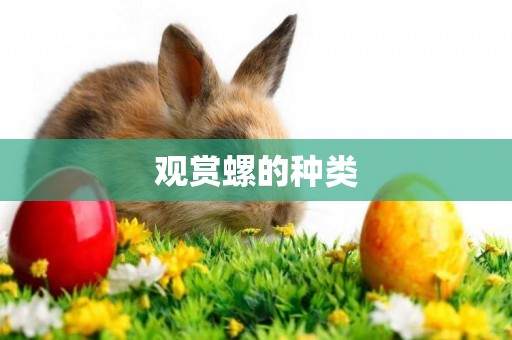 觀賞螺的種類