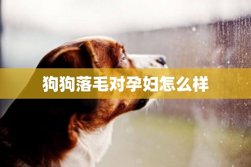狗狗落毛對孕婦怎么樣