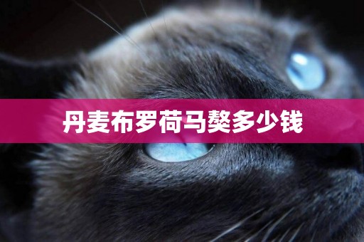 丹麥布羅荷馬獒多少錢