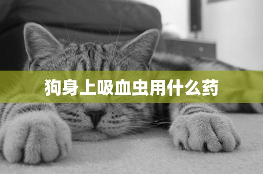 狗身上吸血蟲用什么藥