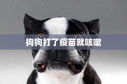 狗狗打了疫苗就咳嗽